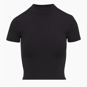 Aritzia Babaton Mockneck Ribbed Top